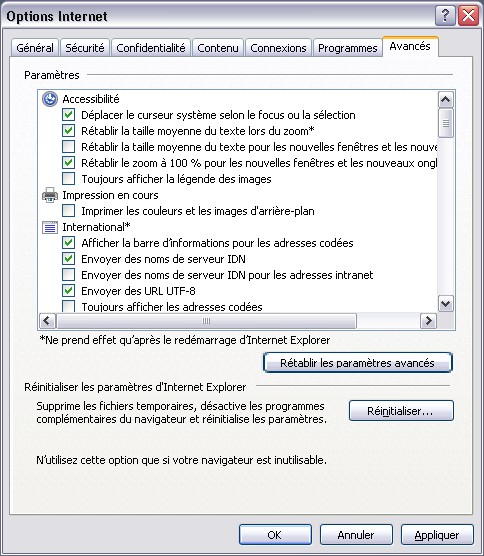OptionInternetExplorer